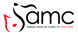 Animal Medical Clinic of Gulf Gate